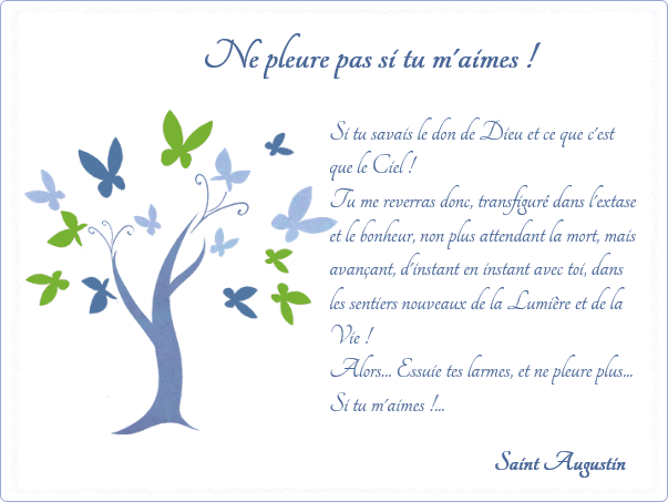 Plaque funéraire Photo dessin arbre,papillon,saint,augustin,bleu