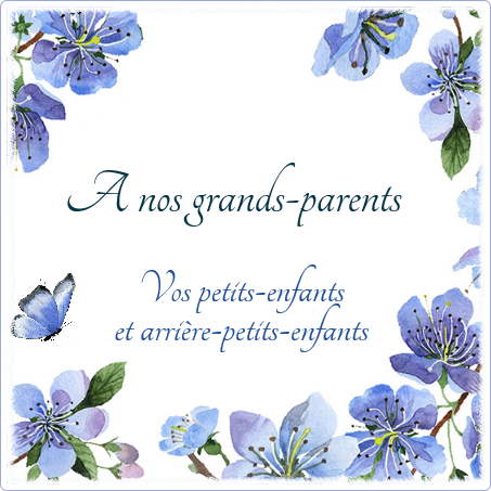 Plaque funéraire Photo dessin papillon,fleurs,bleu