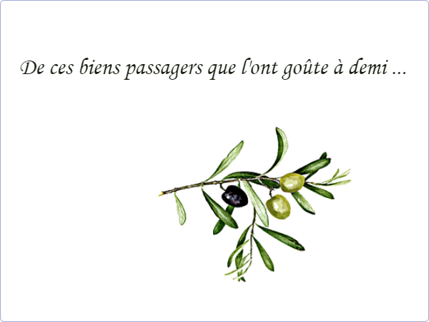 Plaque funéraire Photo dessin olives,oliviers,hommage