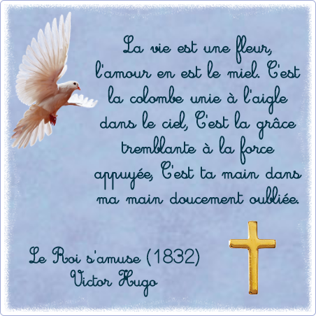 Plaque funéraire Photo dessin colombe,croix,hugo,oiseaux,spiritualité